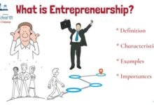 What is Entrepreneurship