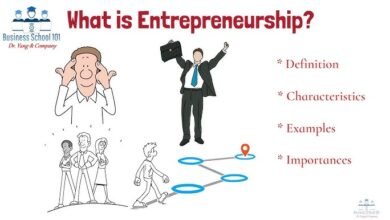 What is Entrepreneurship