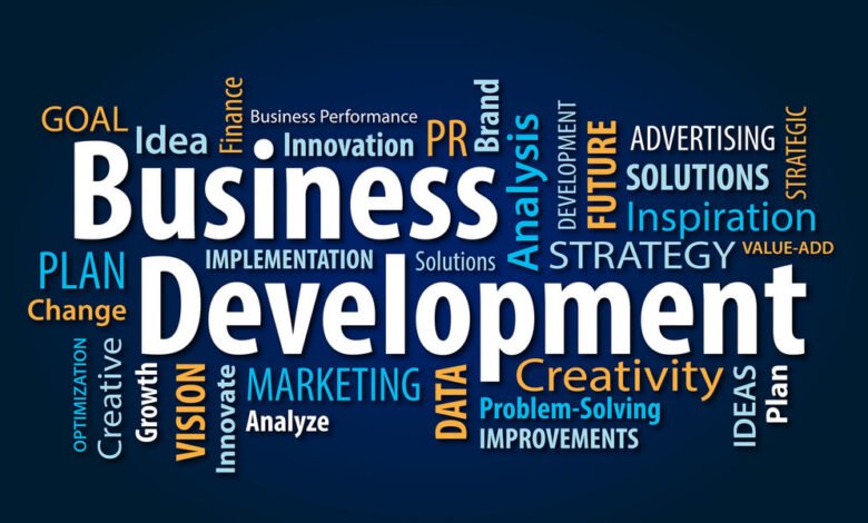 Business Development Strategy